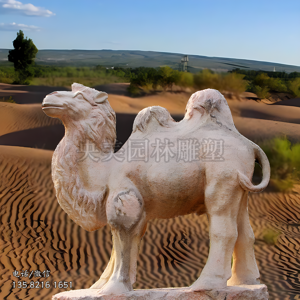 大理石石雕駱駝雕塑