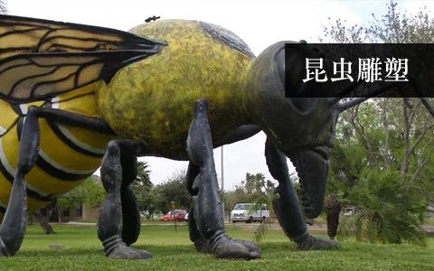 昆蟲(chóng)雕塑 昆蟲(chóng)雕塑